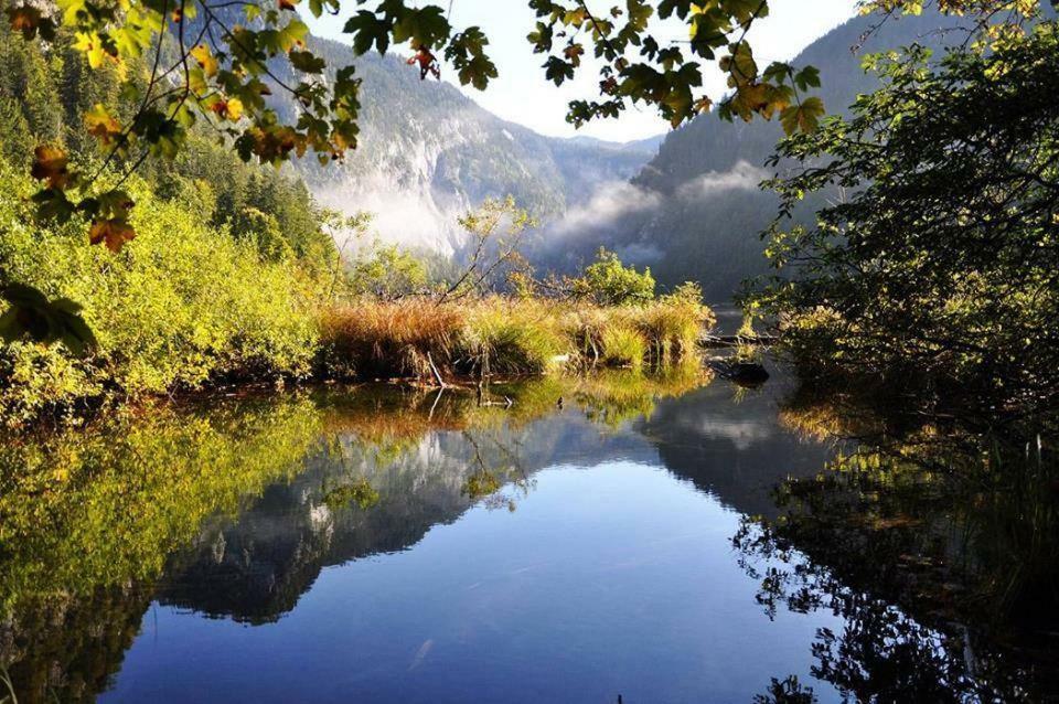 Greenheart Aussee Obersdorf Εξωτερικό φωτογραφία