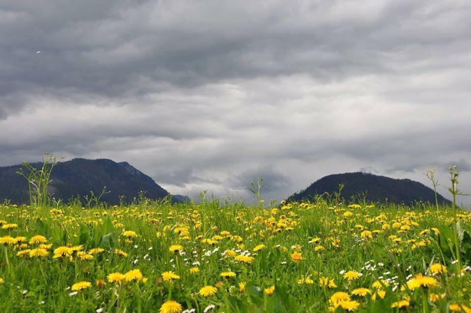 Greenheart Aussee Obersdorf Εξωτερικό φωτογραφία